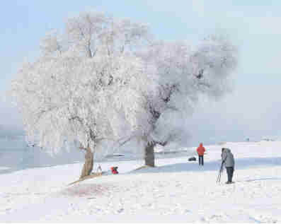 中考作文复习指导公开课,中考语文作文复习策略