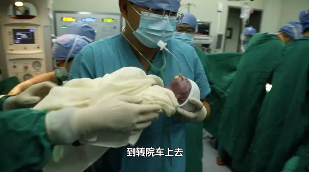 生命缘2021全部视频合集,生命缘2017全集视频