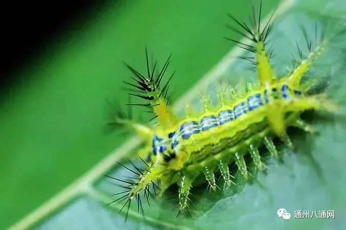 身价暴涨1亿,身价猛涨140倍