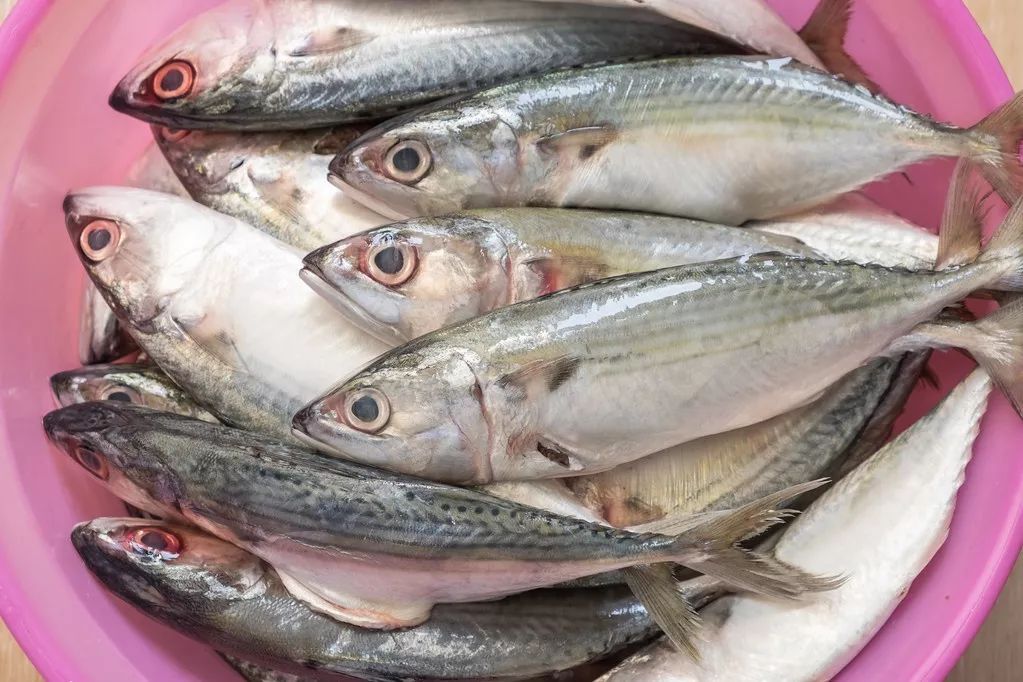 被海鲜扎手了要怎么处理,被煮熟的海鲜扎手有危险吗