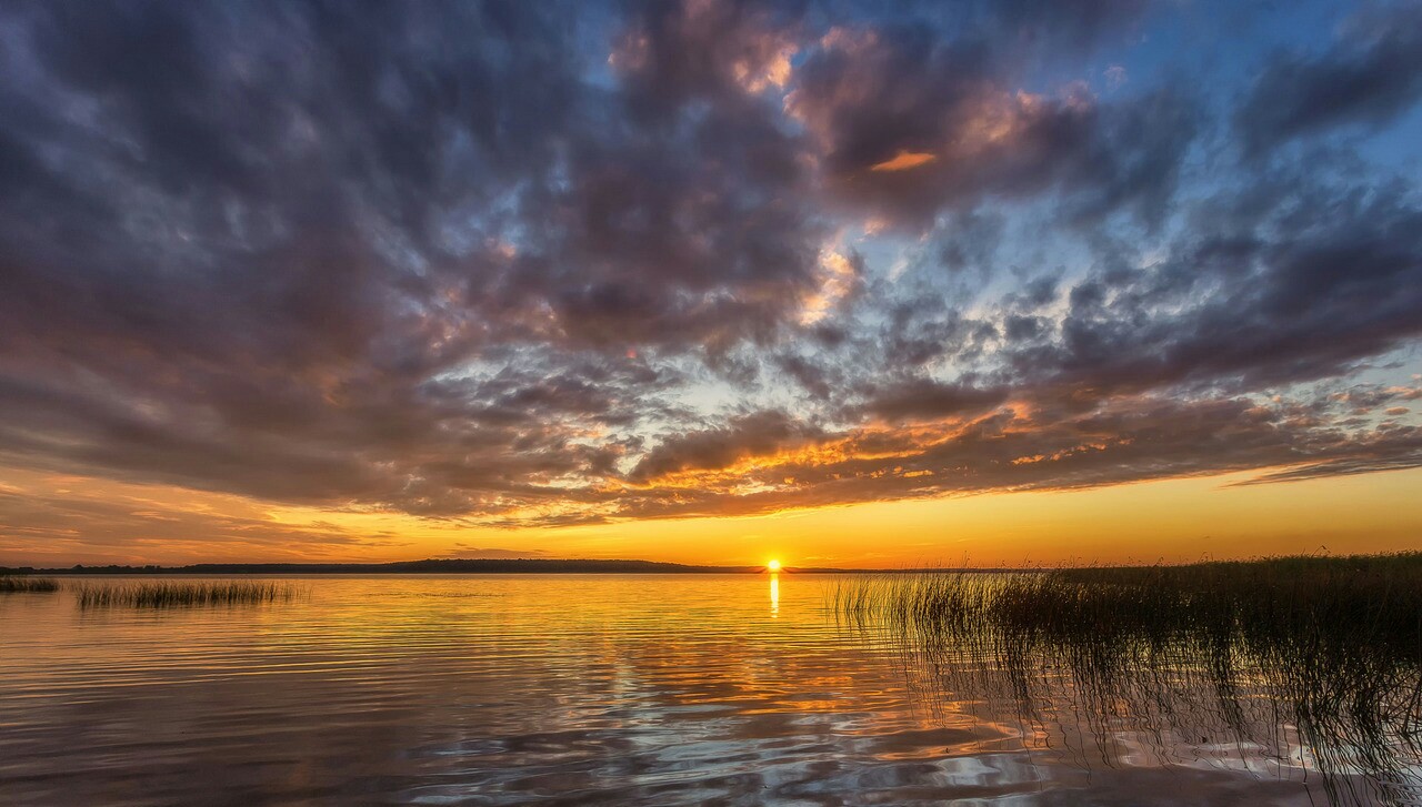 十二生肖出生月份都是什么星座,十二生肖出生的月份婚配表