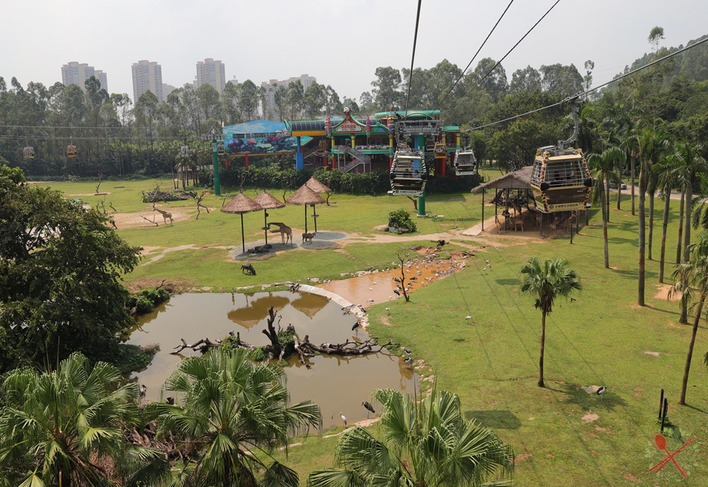 广州长隆乐园最全游玩攻略,广州长隆乐园旅游攻略三天两夜