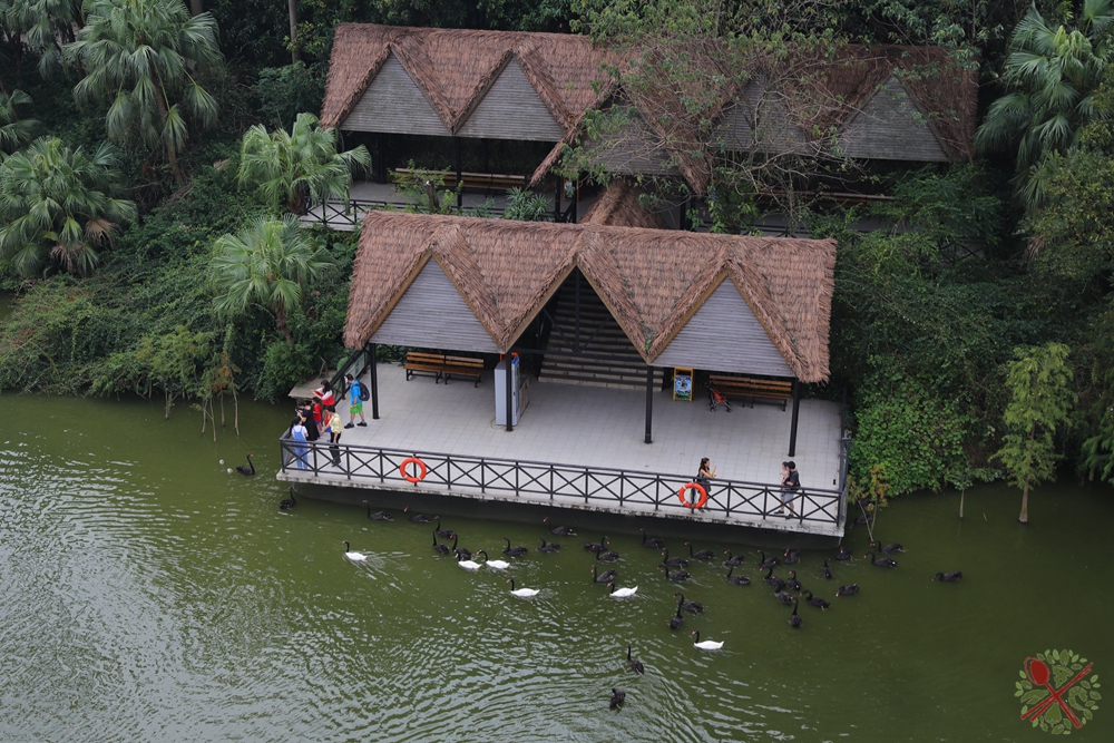 去广州长隆不住景区攻略,春节广州长隆不住园区怎么玩