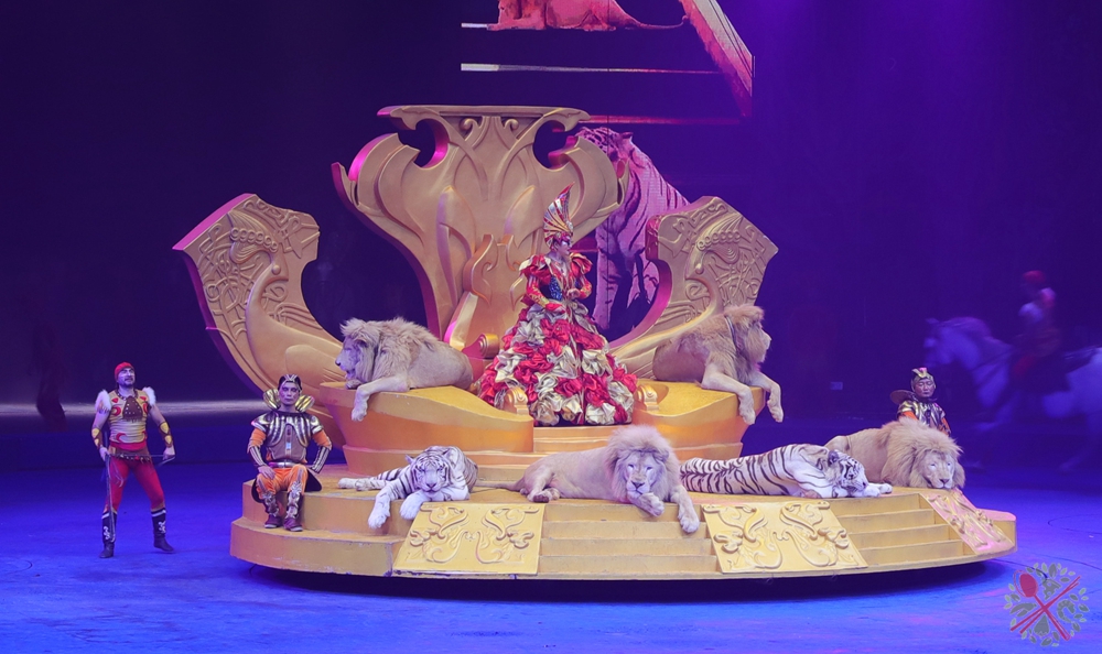 广州长隆4大乐园几天可以耍完,广州长隆野生动物世界国庆门票