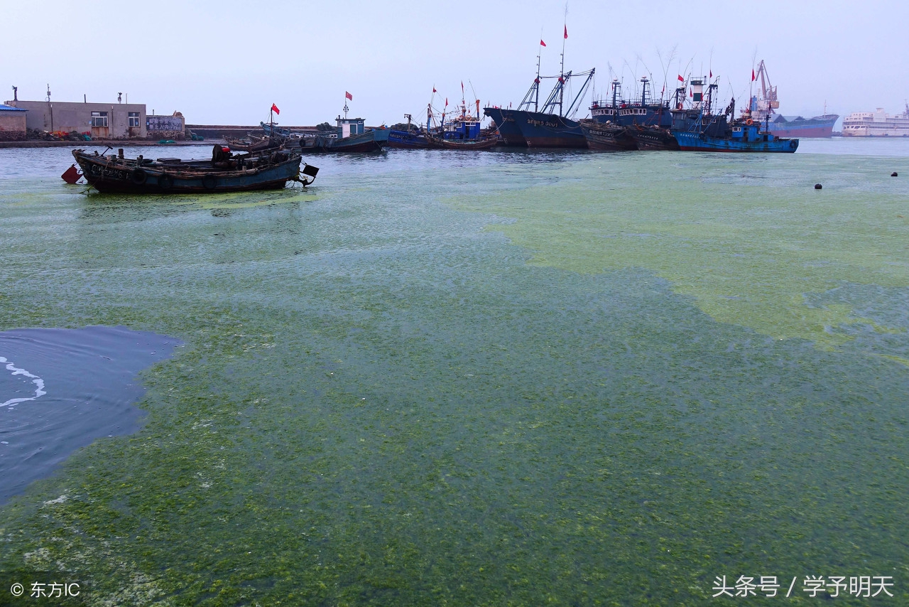 古诗望天门山和饮湖上初晴后雨,小学生古诗词讲解望天门山