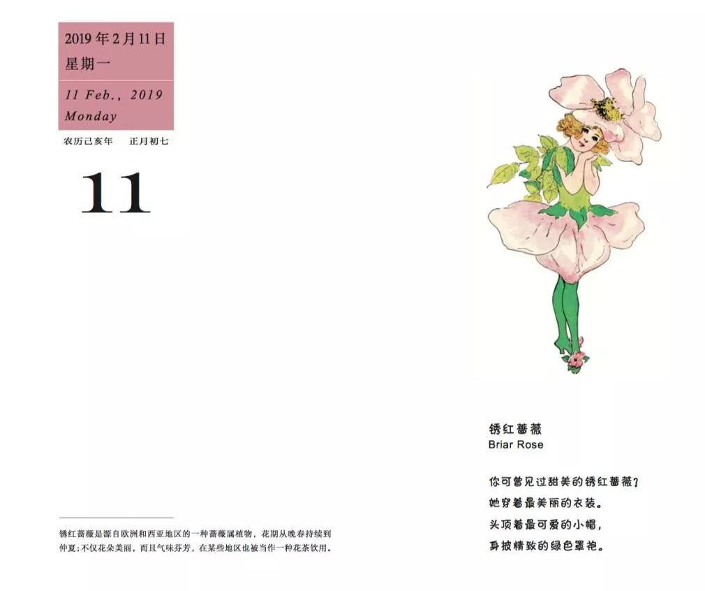 金猪年有多少天,金猪年多少年一遇