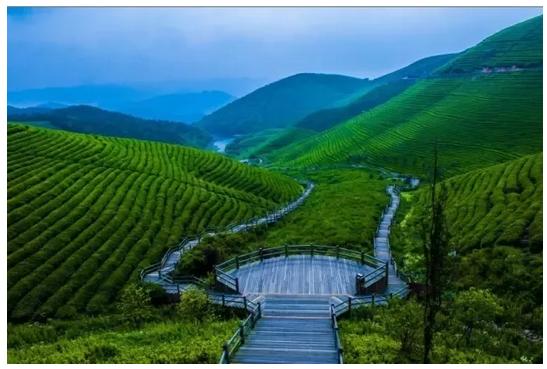 上海2小时高铁旅游线路,魔都沿途风景随拍