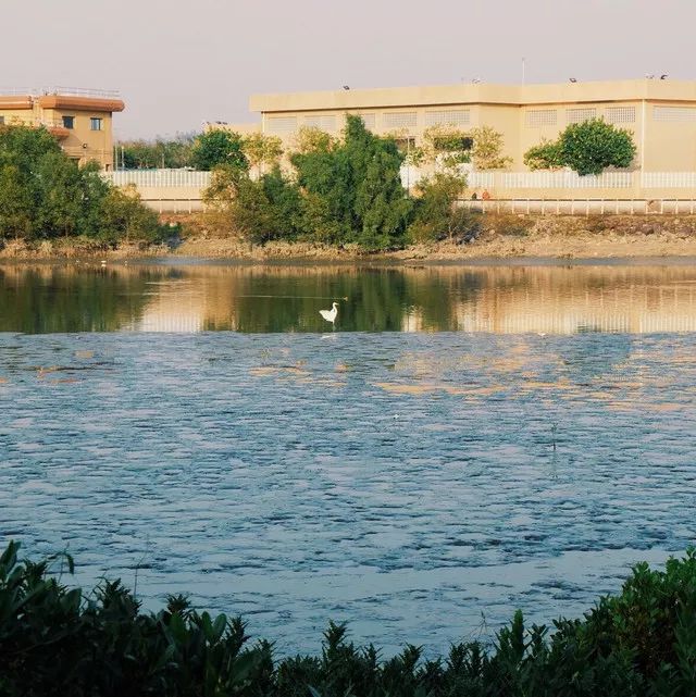 高铁郑州到香港西九龙如何过关,郑州直达香港西九龙高铁站
