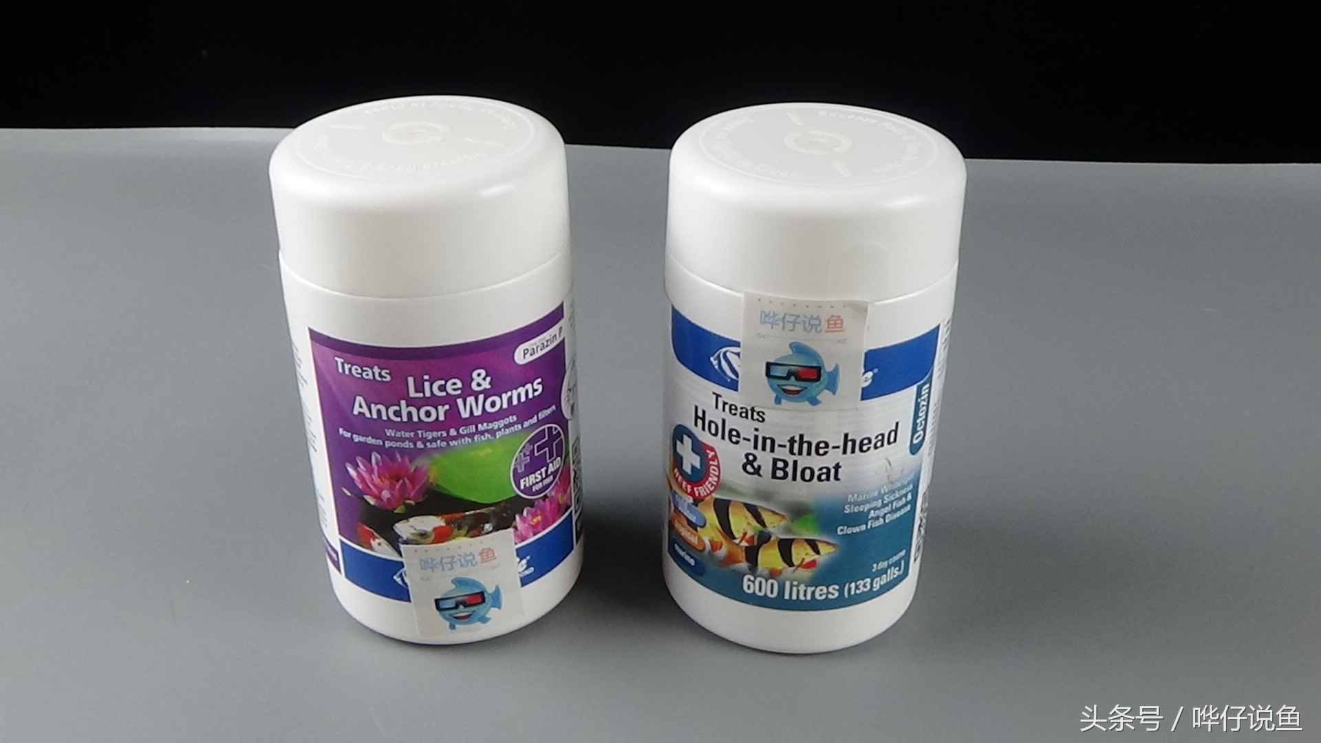 家庭观赏鱼常见鱼药,观赏鱼有哪些鱼药