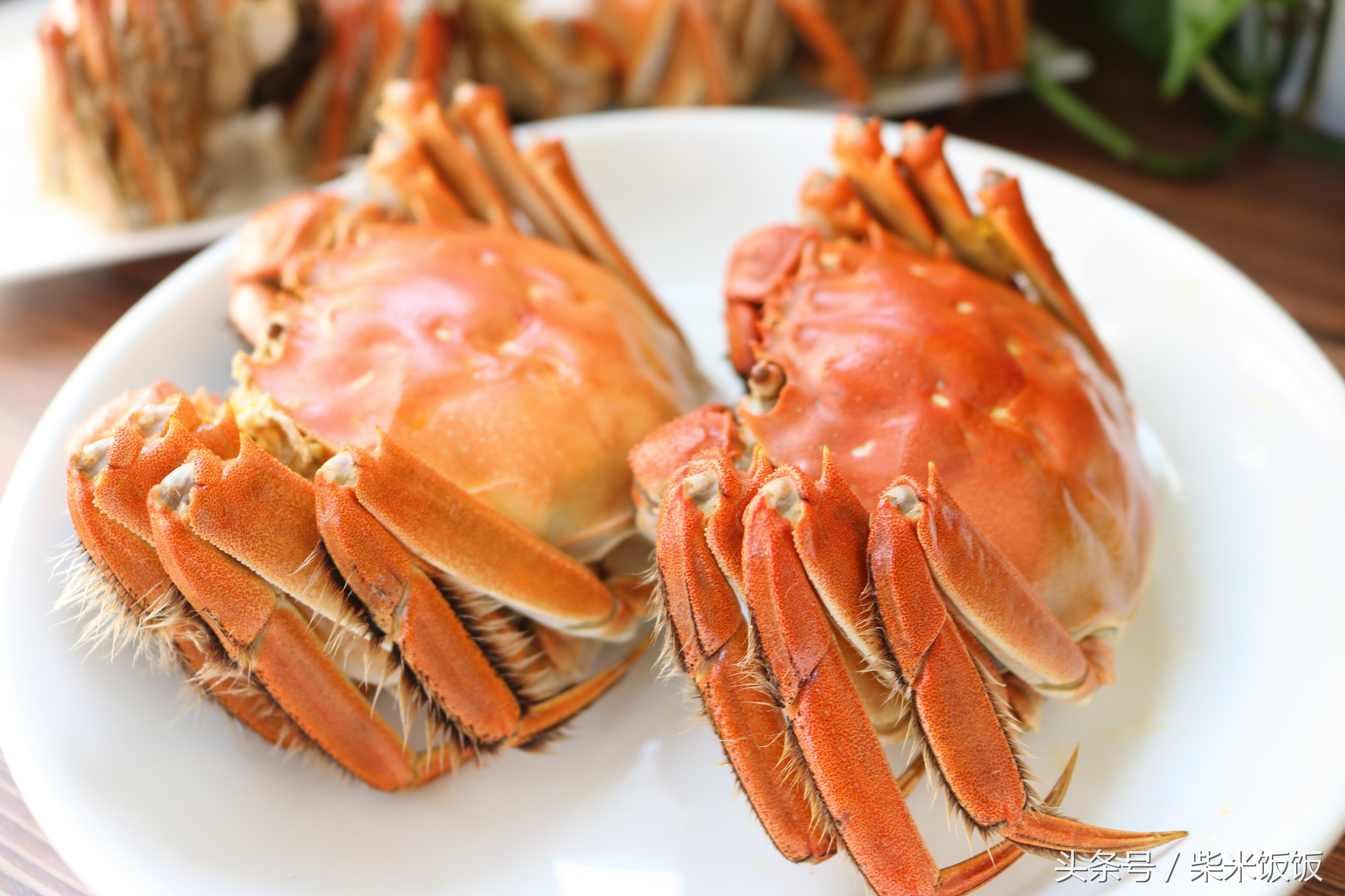 大闸蟹怎么清洗蒸才好吃,大闸蟹不洗可以直接蒸吗