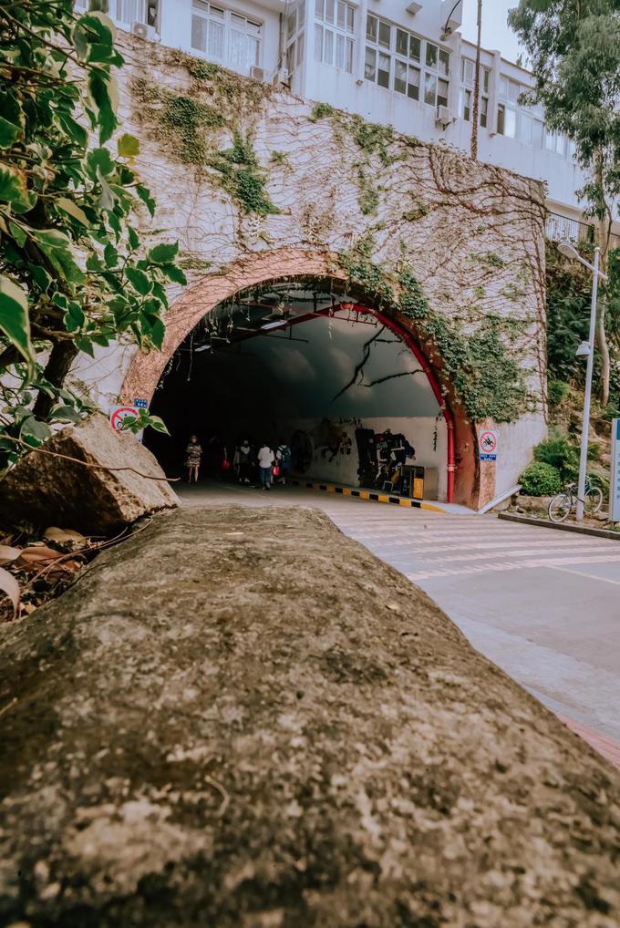 厦门大学打卡照怎么拍好看,厦门大学怎么拍照转场