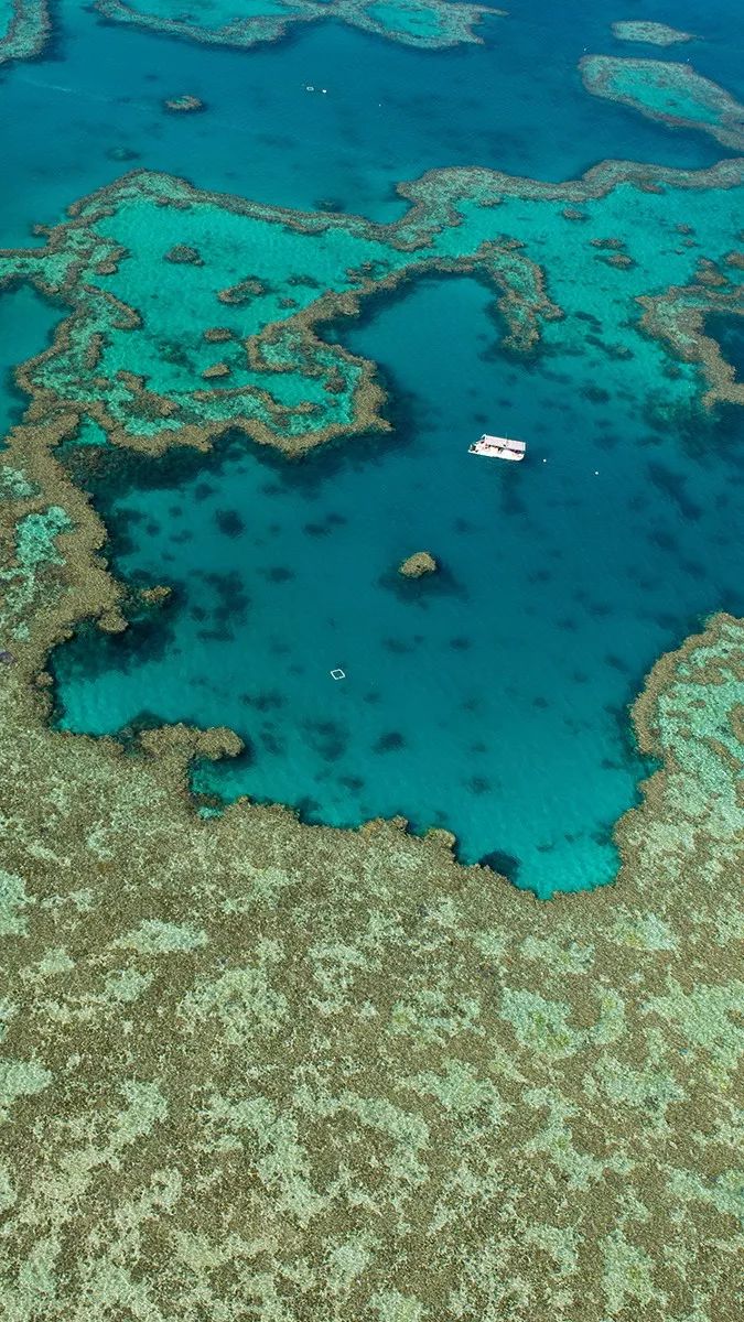 旅行达人排行榜100名,旅行推荐达人视频