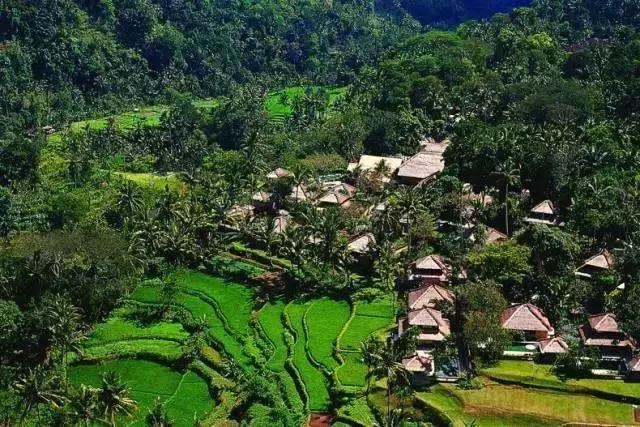 最佳安缦,中国四家安缦哪一家最好