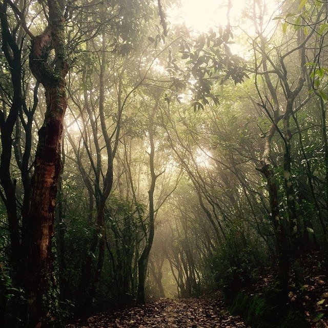 山区迷路怎么办？这些招式关键时刻能救急！