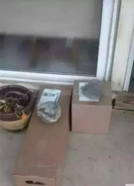 灏忓摜鍝ュ湪缃戜笂涔版満鍣ㄤ汉濂冲弸,灏忎紮缃戣喘鍏呮皵濂冲弸琚伔