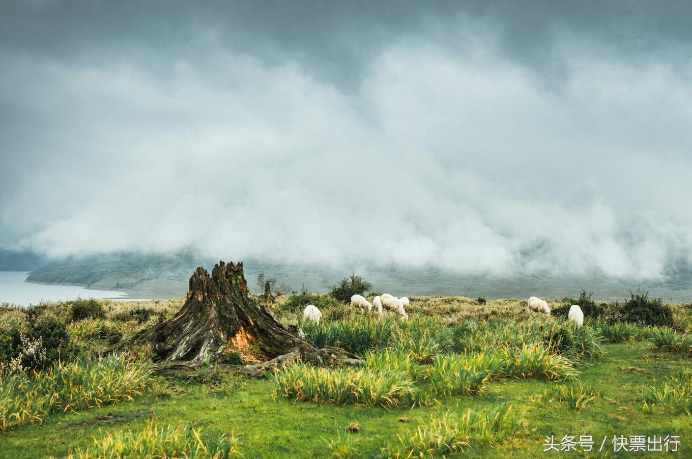 2020孟获城冶勒湖自驾攻略,孟获城冶勒湖自驾游攻略绵阳