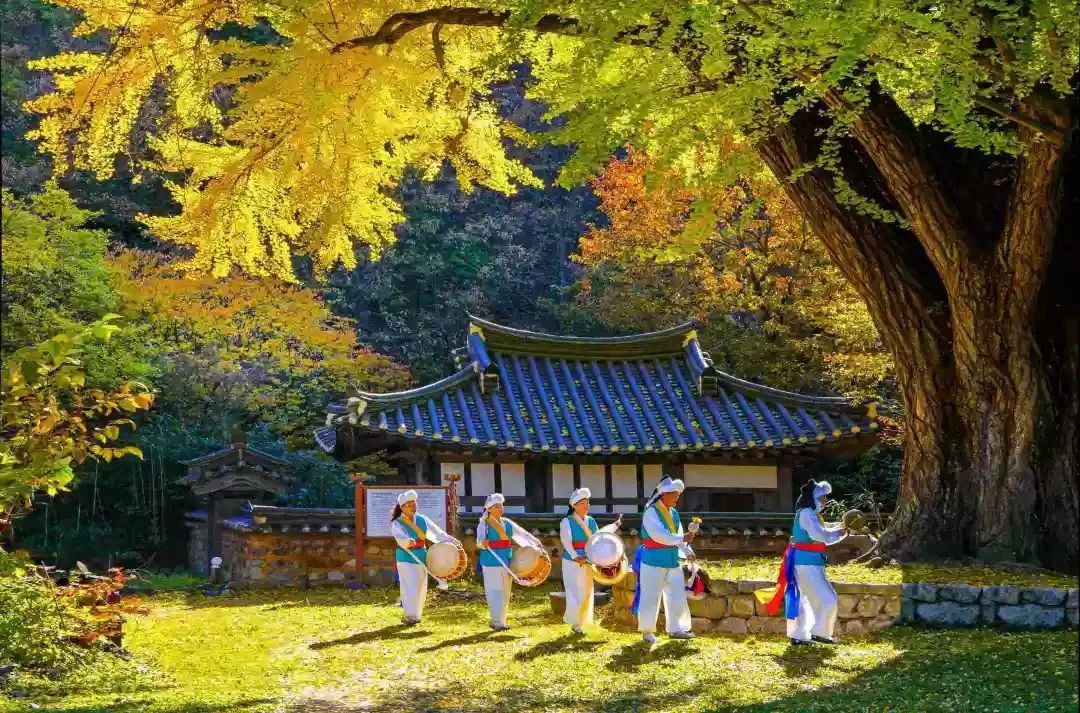 在国外护照和签证丢了怎么办,国外护照丢了怎么快速回国