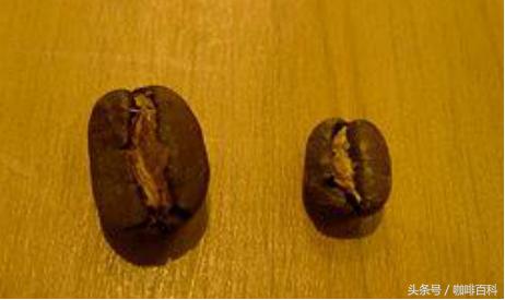 小白如何在咖啡馆点咖啡?常见菜单里咖啡种类讲解