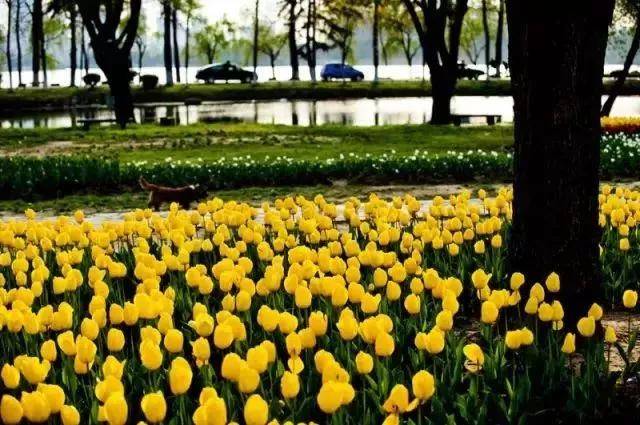 出去人从众,玄武为你安排了身边的风景