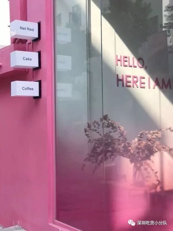 网红拔草清单大全,拔草清单这些网红产品千万别买