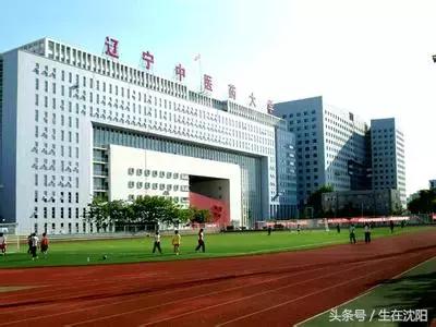 沈阳三十二所高校都有什么,沈阳高校一览表