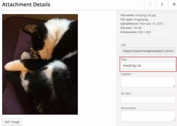 跨境电商seo教程视频,seo跨境电商应用前景如何