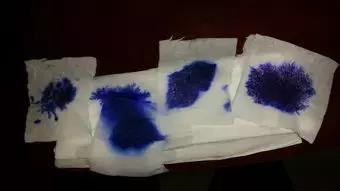 手绘画画教程花朵,手绘教程花