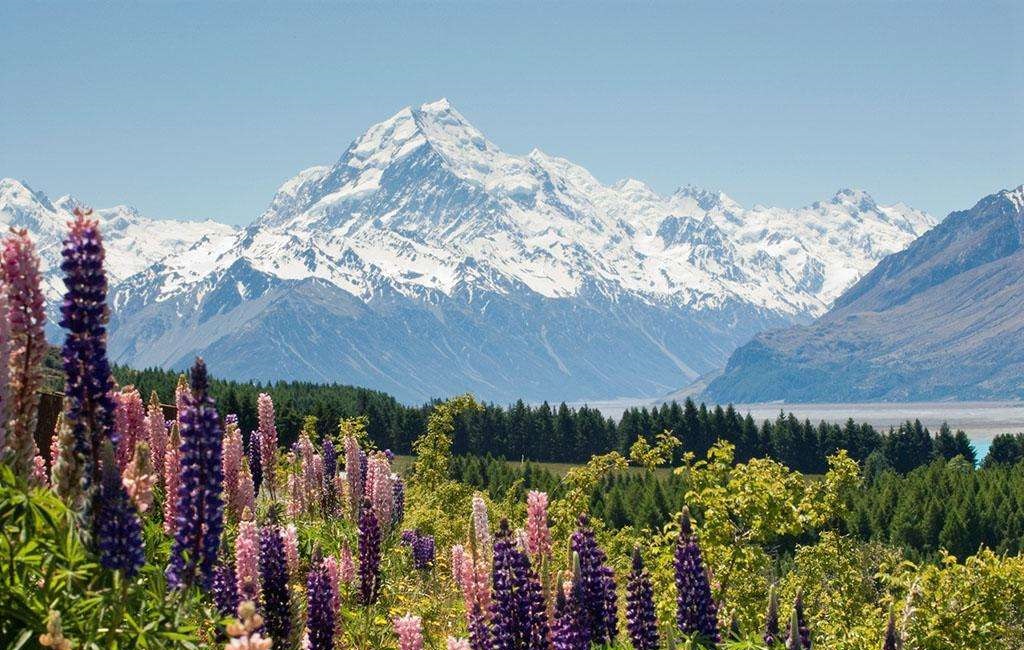 新西兰全球最清廉的国家,新西兰为什么被称为绿色王国