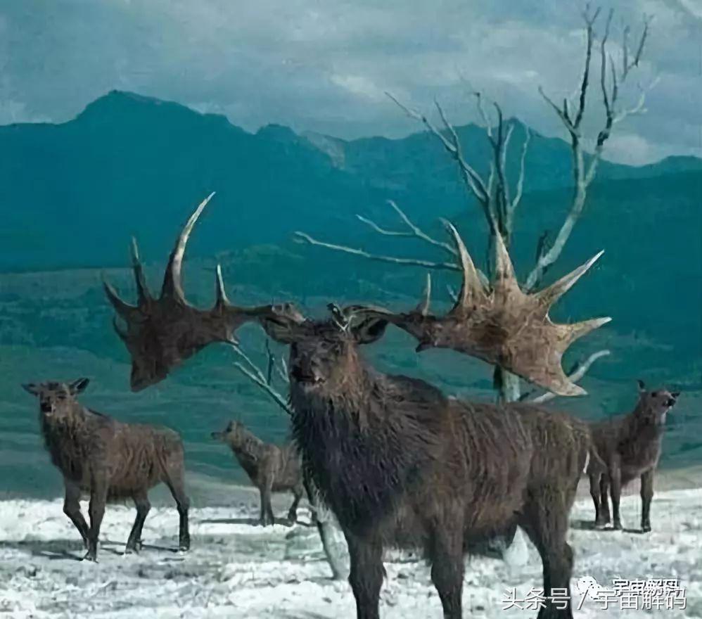 未来最超前的科技,彻底颠覆世界的十大未来科技