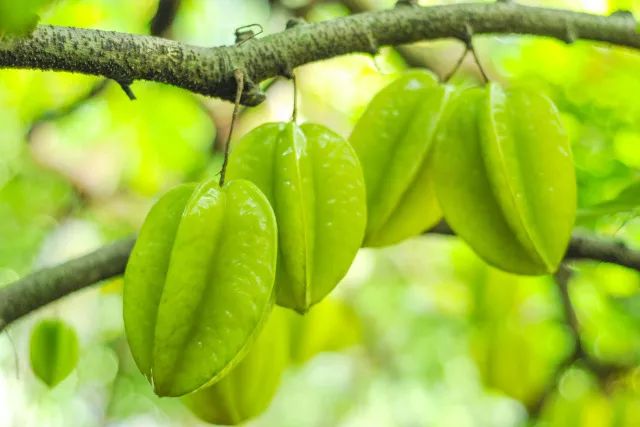 云霄一日游最佳去处,云霄旅游必去十大景点图片