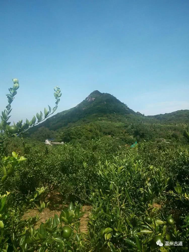 大罗山景区旅游攻略,罗山哪个山最好玩