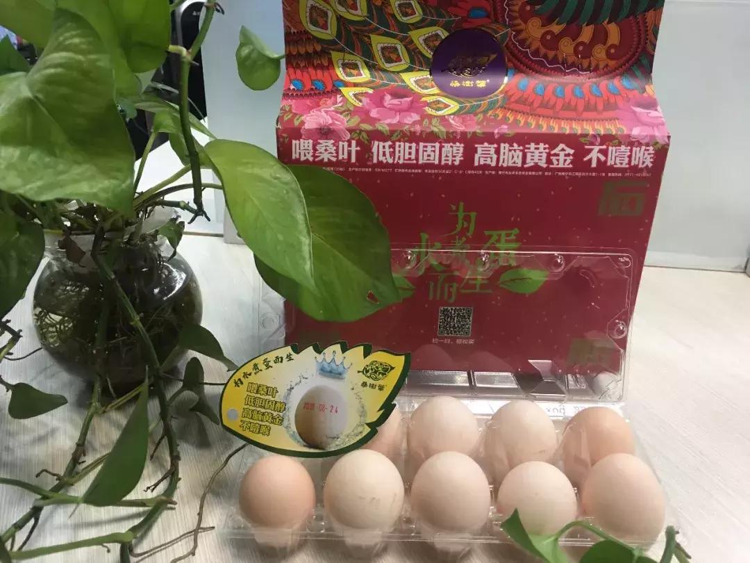 新桂商创新项目,新桂商年会第四届