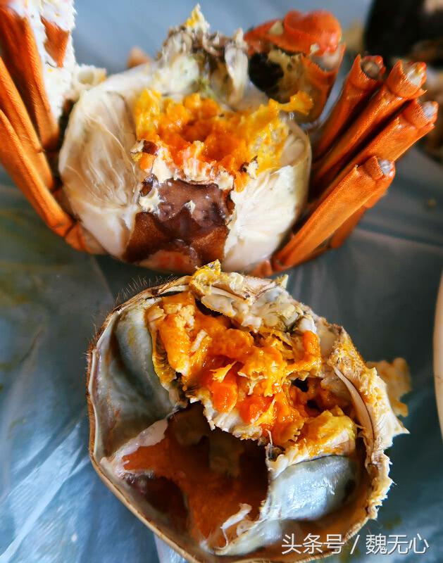 晚上去阳澄湖吃大闸蟹旅游攻略,去阳澄湖吃大闸蟹和游玩攻略