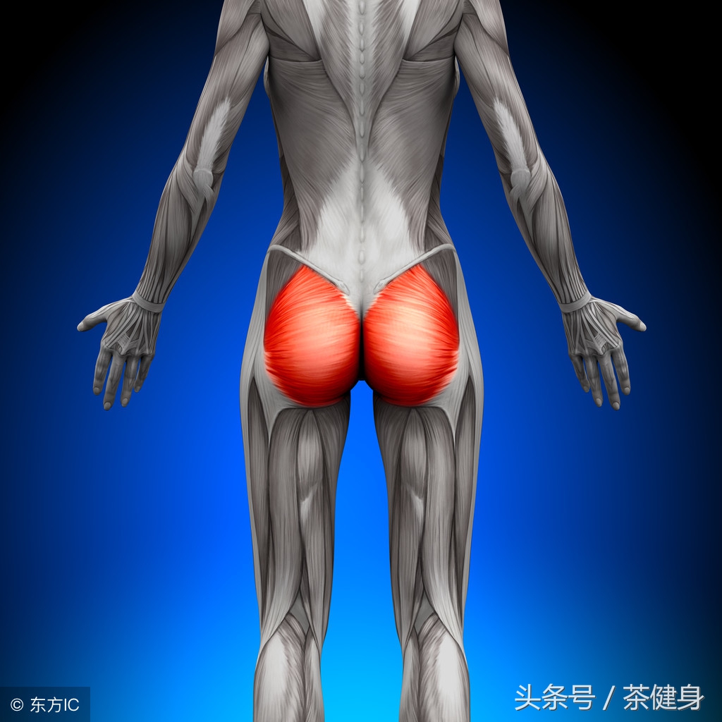 腿部脂肪堆积怎么消除,腿部脂肪要怎么快速练掉