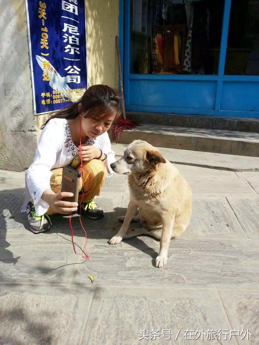 简丹的回忆,简丹谈历史