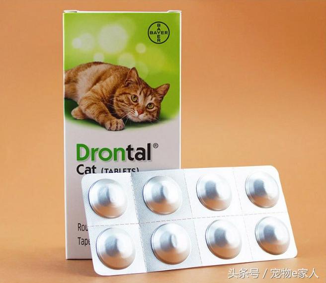 为什么给狗狗做体外驱虫,为什么给狗狗驱虫了还是频繁挠痒