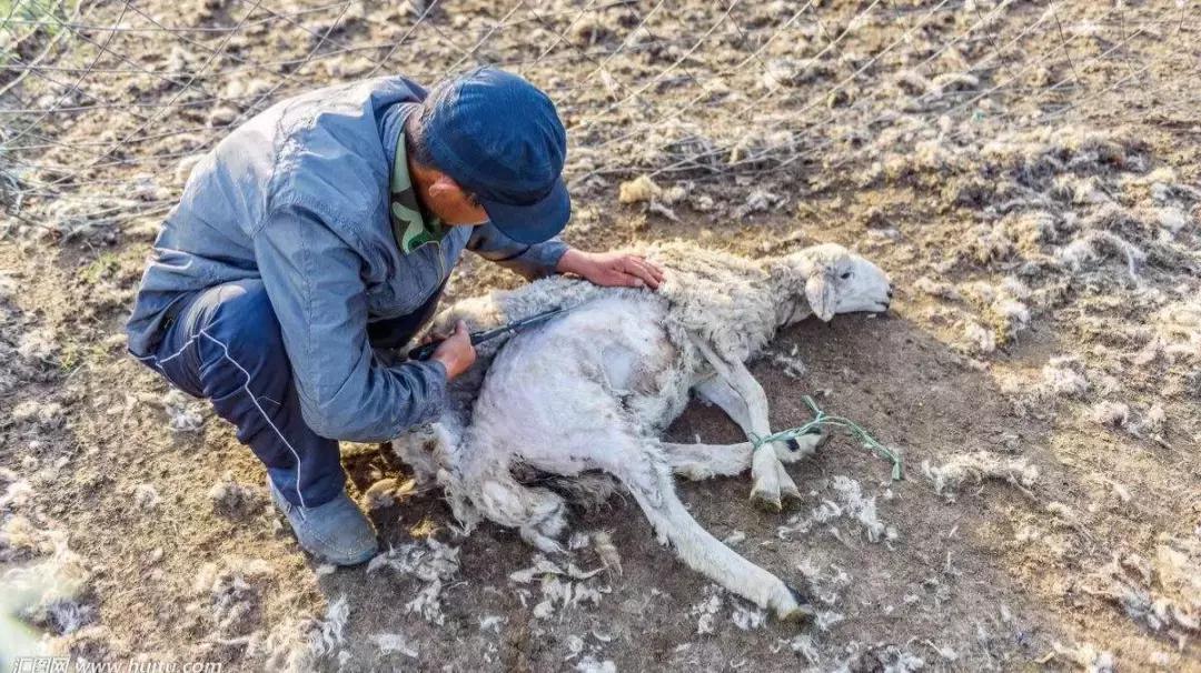 灰色*赚网**江湖：1%创富神话，99%被收割