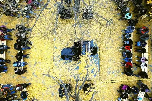 上海地铁3号线沿线美食,上海美食小吃一条街必打卡