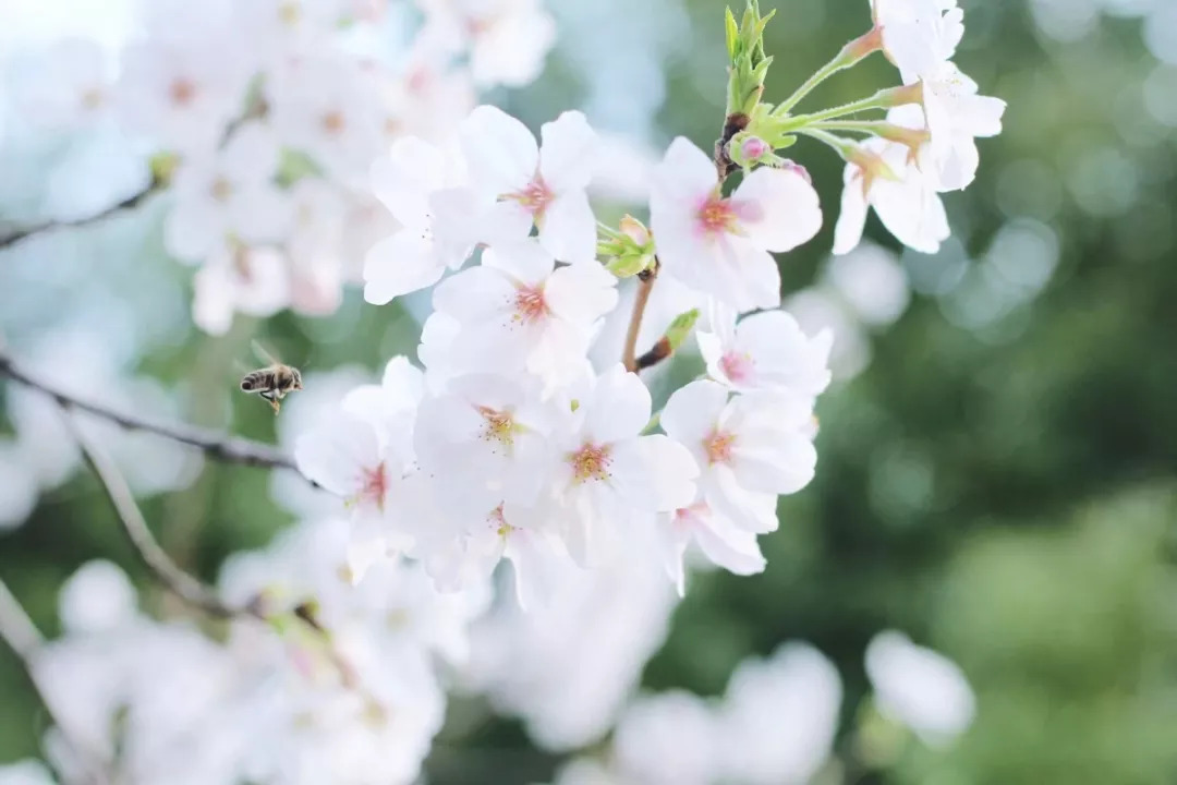 上海地铁3号线沿线美食,上海美食小吃一条街必打卡