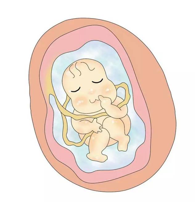 脐带有问题会影响孩子吗,脐带供血不足对胎儿的影响