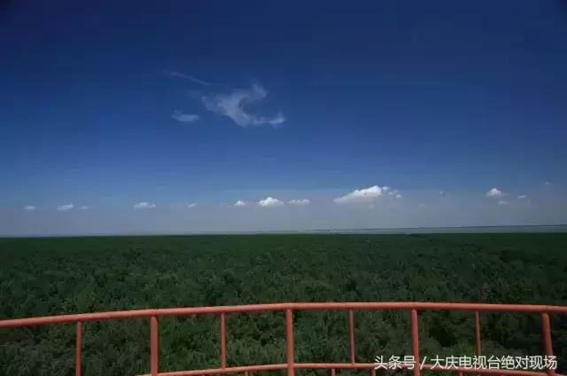 大庆这个城市未来会有发展吗,大庆哪个县发展潜力大