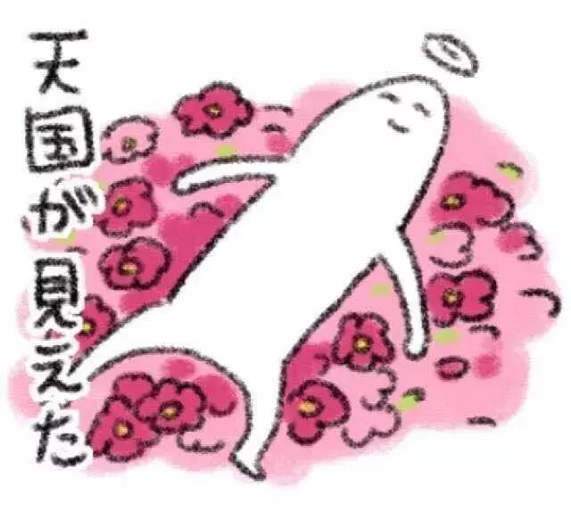 听菠萝的话：有了这些，十一不用出门了