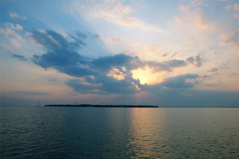 游园赏花品美食,游园赏景快乐游玩