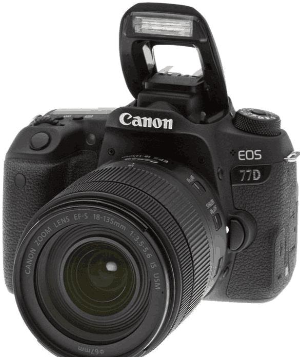 佳能77d测评,佳能77d拍摄视频有自动对焦功能么