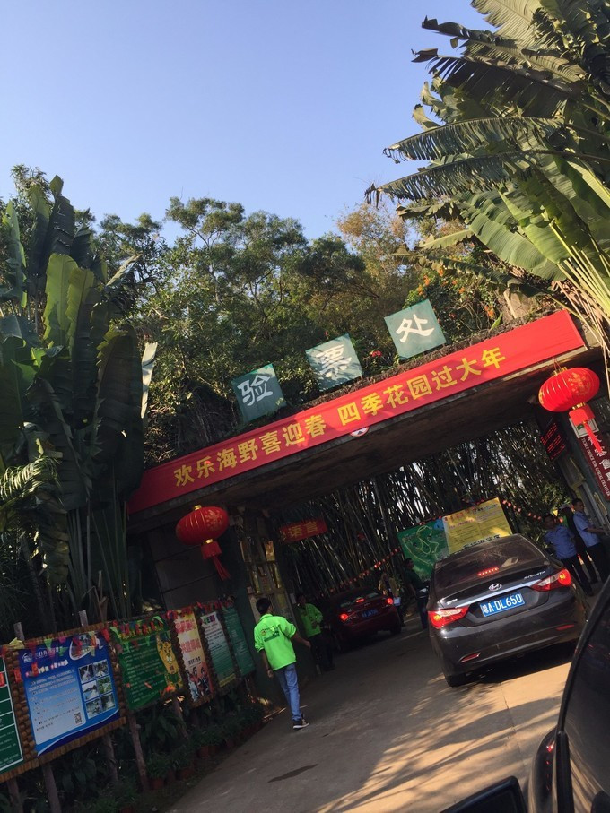 全家人三亚旅游,全家人游海南三亚旅行照片