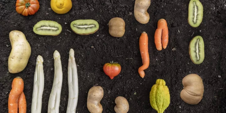 好看的都被你们吃掉了,让这些长得丑的怎么办?