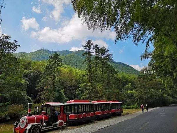 竹海国庆旅游记,竹海风景区国庆节