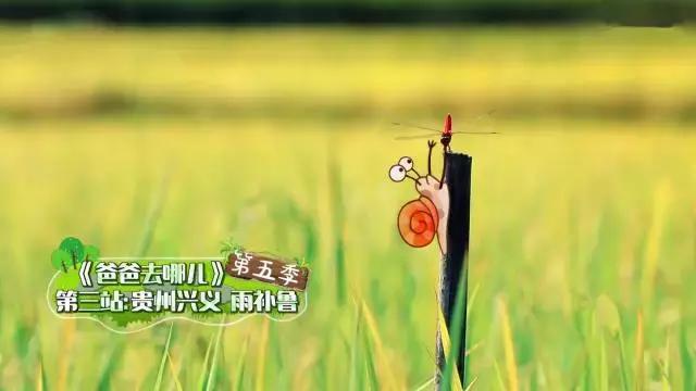 都匀要火!超1亿人次将在这里看到都匀!