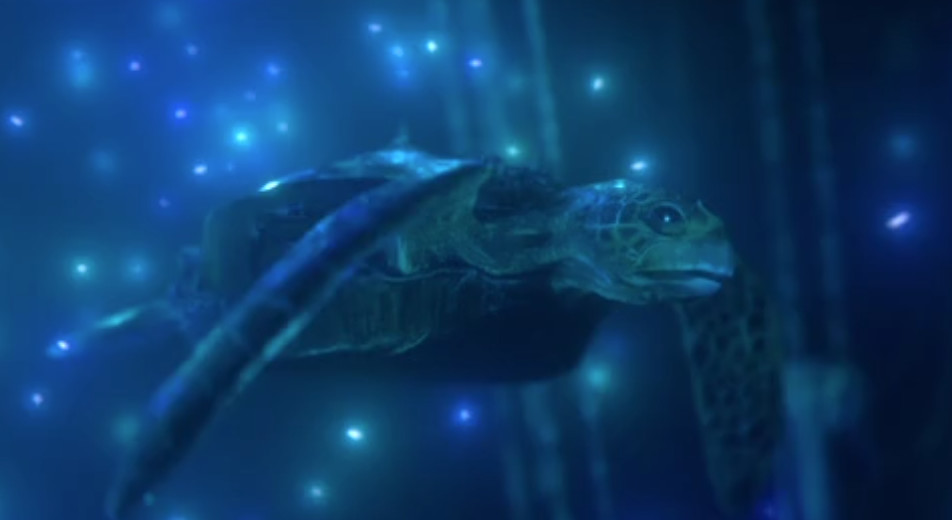 奥斯卡最佳动画短片2022拳击芭蕾,适合儿童看的奥斯卡最佳动画短片