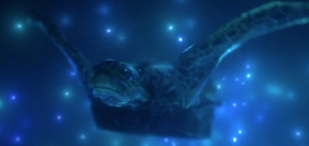 奥斯卡最佳动画短片2022拳击芭蕾,适合儿童看的奥斯卡最佳动画短片